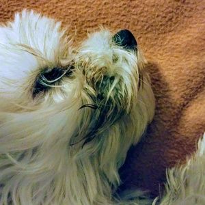 Meet your Posher, Stephen